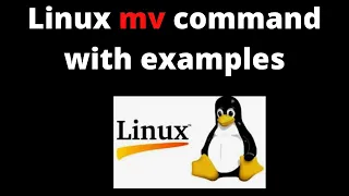 7 Linux Tutorials Linux command with examples