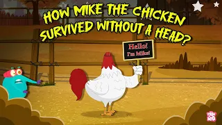 miracles are real story of mike the headless chicken fruita colorado the dr binocs show