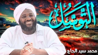 التوسل الشيخ محمد سيد حاج  التوسل الشيخ محمد سيد حاج