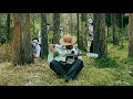 Download Lagu Yampeer - MARIPOSA ROSADA (oficial video)