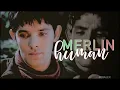merlin human