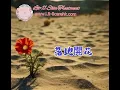 落地開花 / 莉（盧巧音）
