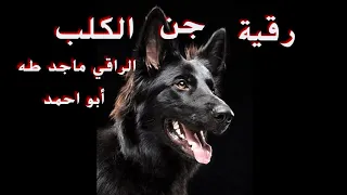 رقية جن الكلب خادم السحر ماجد طه أبو احمد 