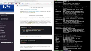 Setting Up Lity Reverse Hello World