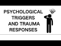 Psychological Triggers and Trauma Responses Understand and Heal