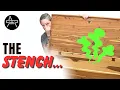 Mothball Nightmare Here s How I Tried to Save This Cedar Chest
