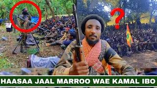 Jaal Marroo Fi Jaal Mo Ii Haala Ustaz Kamal Ittii Ajeefame 
