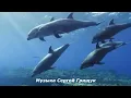 Download Lagu Коллекция красивой инструментальной музыки для успокоения и внутренней гармонии   #КРАСИВАЯМУЗЫКА