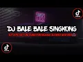 Download Lagu DJ Bale Bale Singkong X Kita Pe Hati Ini | Mengkane Fyp Tiktok (Slowed \u0026Reverb🎧)