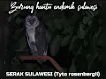 Download Lagu suara burung hantu paling seram