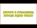 DevOps SysAdmins Bypass squid proxy