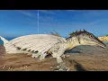 Tidal Dragon Spotlight Ark draconic Chronicles