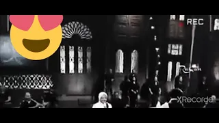 رايحه فين ياحجه بصوت هلا رشدي Shorts 