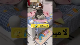 ياربي نكون غير كنحلم Chat Cute Love Beautiful 
