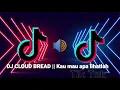 Download Lagu DJ SLOW CLOUD BREAD || KAU MAU APA LIHATLAH (SLOW BEAT)
