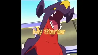 Can you beat my Pokemon Team