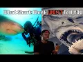 Download Lagu Why The World Without Sharks Might be Your Biggest Nightmare