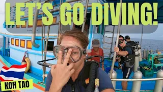 🌴Koh Tao: A Divers PARADISE (Our FIRST TIME!)🐠🐙 | Sailing Joco EP72