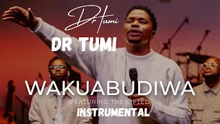 Dr Tumi WAKUABUDIWA Instrumental  Dr Tumi WAKUABUDIWA Instrumental