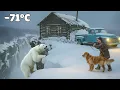 Download Lagu –71°C Survival Ep 15: A Polar Bear Charges the Cabin as a Man Protects His Dog MP3