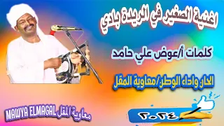 معاوية المقل اغنية الصغير في الريدة بادي كلمات عوض علي حامد اغاني الطمبور 2024 