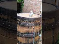 Smokin Berger s Wine Barrel