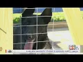 I want to do more Douglas Co Animal Shelter out of space struggles to find solutions