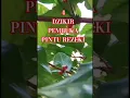 Download Lagu 4 Amalan Dzikir Pembuka Pintu Rezeki #Ngaji#Amalan#Dzikir Mustajab #Doa Mustajab #Doa#Vidio Short