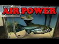 AIR POWERED EGG COLLECTOR