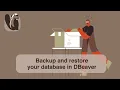Backup and restore your database in DBeaver