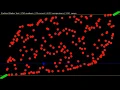 Cocktail Shaker Sort - Sorting Algorithms