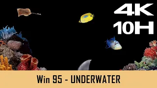 Windows 95 Screensaver - Underwater
