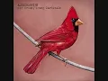 Alexisonfire - Young Cardinals