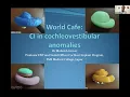 CI in Cochlear Anomalies 9th Nov 2021