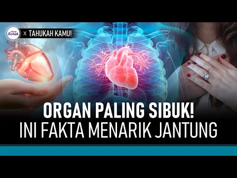Fakta Menarik Jantung Manusia, Organ yang Tak Pernah Berhenti Bekerja