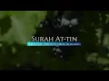 Download Lagu Surah At-Tin serta terjemahan by Abdulkarim Almakki المصحف المرتل