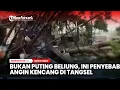 Download Lagu Bukan Puting Beliung, Ini Penyebab Angin Kencang di Tangerang Selatan​​​​​​​​​​
