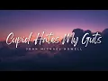 Lagu John Michael Howell - Cupid Hates My Guts (Lyric Video)