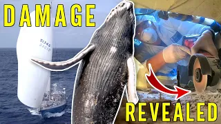 Cutting Into Our SAILBOAT – Collision Damage REVEALED [Ep.87]