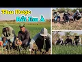 Download Lagu Hết Đói Rồi Anh Ơi ! Thành Quả Đến Liên Tục Với Người Dân Bản Mailip Khi Chuẩn Bị Thu Hoạch Hành !!!