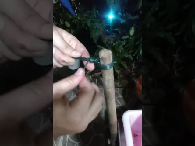 COMO FAZER CABRESTOS PARA VASOS DE ORQUÍDEAS