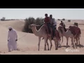 Things to Do in Dubai Expedia