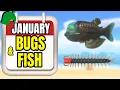 January Bugs Fish Guide Animal Crossing New Horizons Northern Hemisphere
