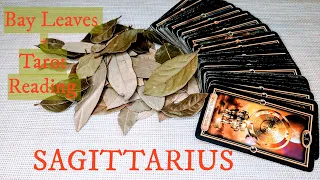 SAGITTARIUS - This is an Incredible New Era For You! SEPTEMBER 7th-13th 