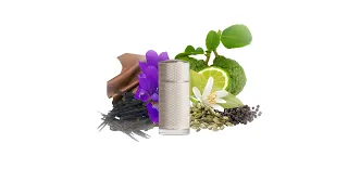 تجربتي وتقييمي لعطر ايكون من دنهل                            دندنها