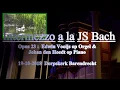 Download Lagu 2018 10 19 VZ Najaars Edwin \u0026 Johan Intermezzo