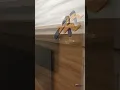 Vídeo do produto