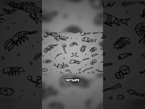 Четыре миллиарда лет эволюции — чтобы стать переходной формой. Поздравляю.