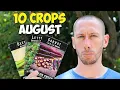 10 Crops You d Be Foolish Not to Plant in August