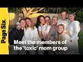 Meet the members of the toxic mom group Ashley Tisdale exposed and see their shady response post